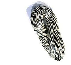 سیم مفتولی دوبل-حلقه ای