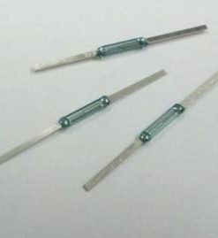 REED SWITCH-1cm