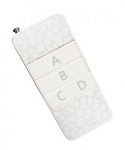 Remote-4CH Long Range